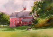 Farm Cat