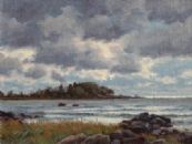 Shell Beach