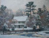 Snow Fall Bruce Park