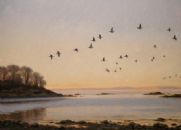 Dawn Flight
