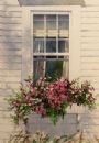 York Window