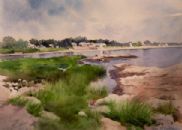 Shoreline Marshes