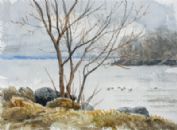 Lonely Trees