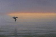 Long Tail, Low Sky