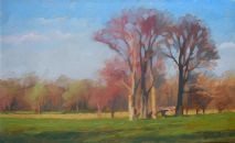 Spring Awakenings