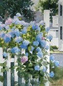 Hydrangea Corner