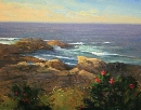 Calm Surf