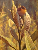 Yellowthroat & Milkweed