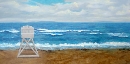 Beach Chair