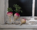 School House Window