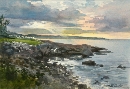 Rocky Shores