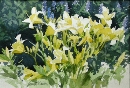 Yellow Lilies