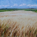 Field of Gold
